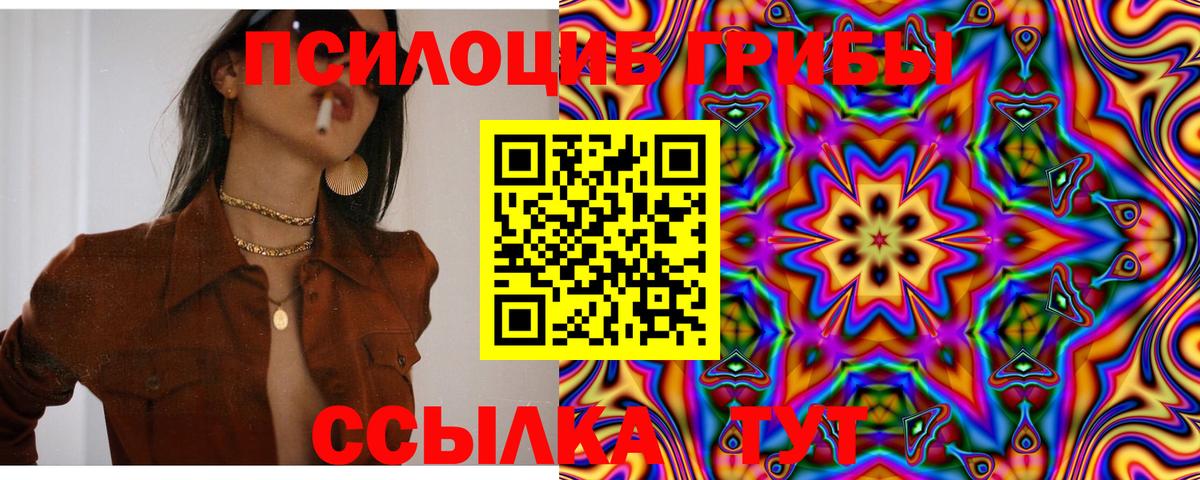 Свободный  Псилоцибиновые грибы Magic Shrooms  Вход с VPN  Псилоцибиновые грибы Psilocybe 